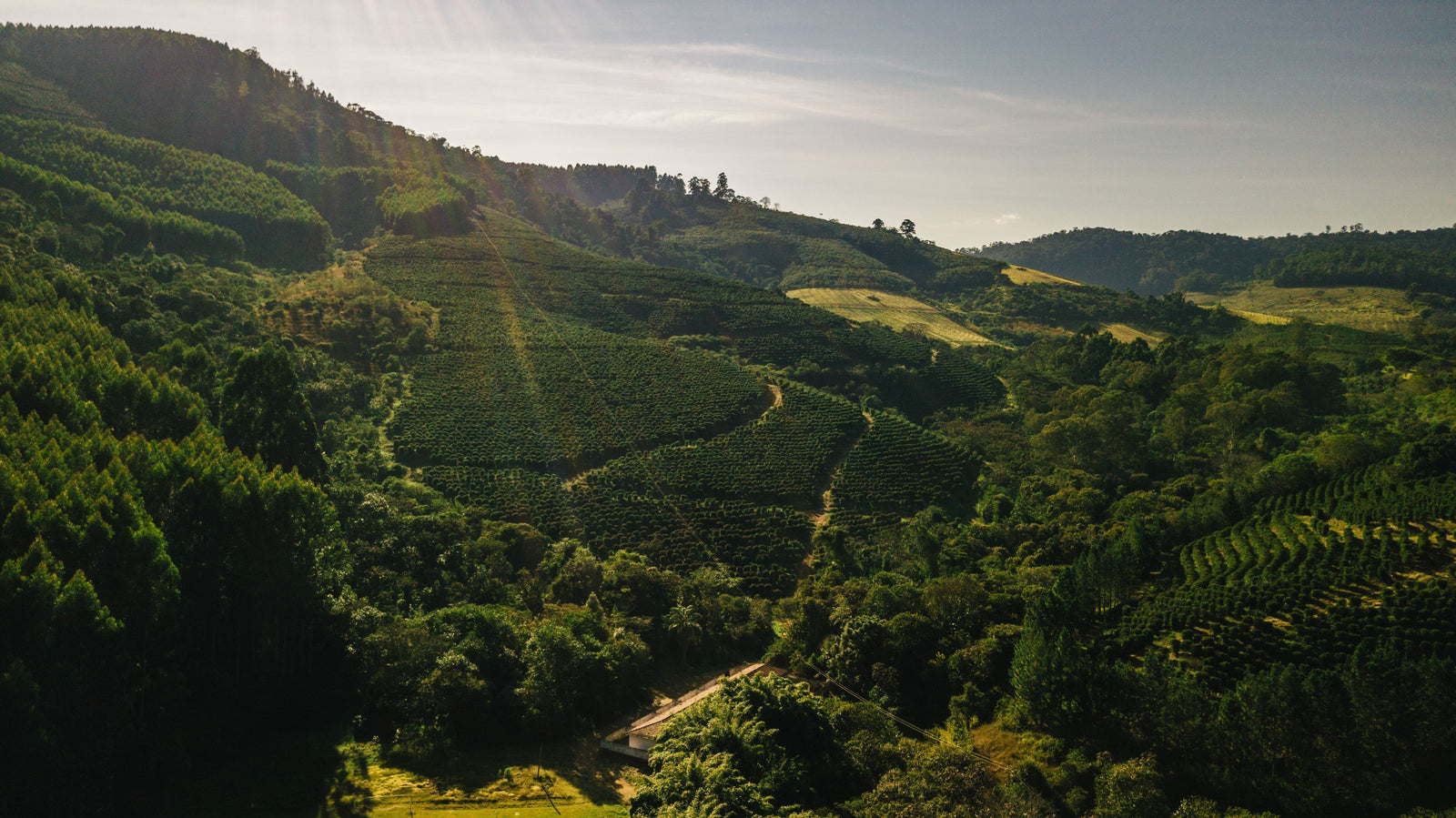 Entwicklung der Kaffeepreise