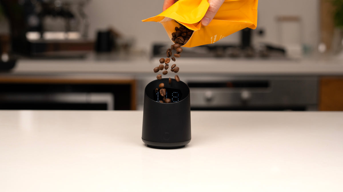 SUBMINIMAL - Subscale Digital Dosing Cup - NEW!