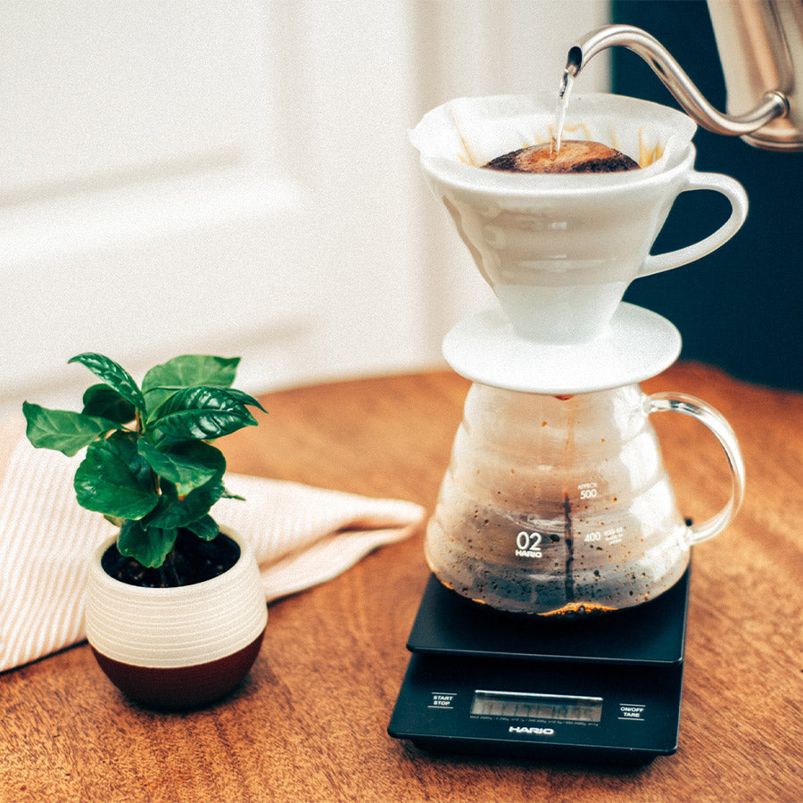 HARIO V60 Range Server 02 (600ml)